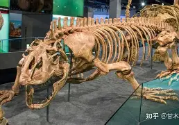 九游娱乐平台-包含v_.蜥]膔粋x01~?慁t